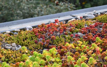 the cost of Badby green roof installation